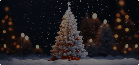 Christmas & Seasonal Events